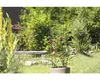 Opora k rajčatům FloraSelf 150 x 30 cm zelená Náhled obrázku produktu 3