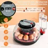 Incubateur automatique, incubateur pour 12 œufs, couveuse Voir les images du produit 2
