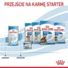 Royal Canin Babydog Milk, Milchpulver, Hund, Welpe, 400 g Produktbild-Vorschau 11