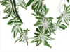EUROPALMS Giglio verde, artificiale, 60 cm Anteprima dell’immagine prodotto 3