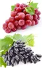 Two bunches of grapes, one red and one black, are shown against a white background. Produktbild-Vorschau