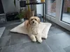 TrendPet Heaven - Wärmende Wendedecke beige 90x65 cm Produktbild-Vorschau 7