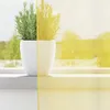 A potted plant on a windowsill, with the right side of the image tinted yellow. Voir les images du produit