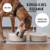 RUDELKÖNIG Hundenapf Keramik – 2er Set handgefertigte Produktbild-Vorschau 3