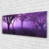 Acrylglasbilder 125x50 Wandbild Druck Bäume Natur Produktbild-Vorschau 2