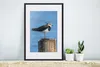 MuchoWow® Gerahmtes Poster Vogel - Tiere - Pfahl - Blau - Produktbild-Vorschau 4