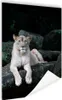 MuchoWow® Poster Löwe - Wildtiere - Porträt 40x60 cm - Produktbild-Vorschau 1
