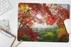 MuchoWow® Mauspad Mousepad Japanischer Ahorn - Bäume - Produktbild-Vorschau 5