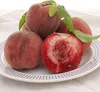BALDUR Garten 1x Säulen-Pfirsich 'Ellora®', Pflanze im 3 Produktbild-Vorschau 1