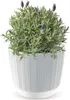 Prosperplast Blumentopf RYFO Weiß 14,6 cm Produktbild-Vorschau 16