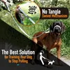 Laisse plate anti-traction pour chien avec appui-museau Voir les images du produit 3