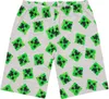 Minecraft - Schlafanzug mit Shorts für Jungen NS6730 (134) Produktbild-Vorschau 3