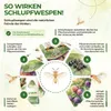 Green Guardia Schlupfwespen gegen Pflaumenwickler -3x Produktbild-Vorschau 2