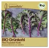 Samenliebe  Grünkohl Samen | Red Russian Kale - winterhart Produktbild-Vorschau 1