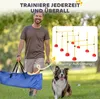 PawHut Set Agility Cani Set di ostacoli da 4 pezzi Anteprima dell’immagine prodotto 6
