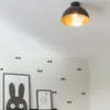 A room with a ceiling lamp and wall decorations. Anteprima dell’immagine prodotto