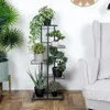 A plant stand with multiple plants in a room setting next to a chair. Náhled obrázku produktu