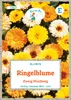 Ringelblume Zwerg Mischung | Ringelblumensamen von Grüne Produktbild-Vorschau 3