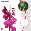 KOTARBAU® 2er Set Pflanzenstütze Transparent PVC 58 cm Produktbild-Vorschau 4