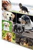 Cartella angolare HERMA "Dogs", in cartone, DIN A3 Anteprima dell’immagine prodotto 5