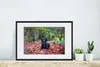 MuchoWow® MuchoWow® Gerahmtes Poster Schwarzer Labrador Produktbild-Vorschau 4