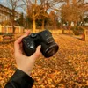 A hand holding a black Kodak camera in an outdoor setting with fallen autumn leaves on the ground. Náhled obrázku produktu