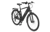 PROPHETE ENTDECKER 2.3 Herren Trekking E-Bike 28" Limited, Produktbild-Vorschau 1
