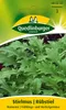 Stielmus Namenia | Stielmussamen von Quedlinburger Produktbild-Vorschau 2