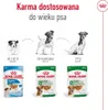 Royal Canine Senior Mini Pouch Box 12X85Gr Voir les images du produit 9