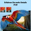 Hikers 43Z1 Téléviseur Smart TV -  Écran 43 pouces Voir les images du produit 6