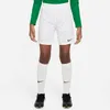 Nike Hosen Dry Park Iii JR, BV6865102, Größe: 128 Produktbild-Vorschau 4