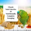 Lafeber Nutriberries Original Classic - Nourriture pour Voir les images du produit 3