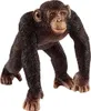 Schleich, Figurine Wildlife Männlicher Schimpanse aus den Produktbild-Vorschau 2