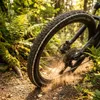 Schwalbe Rapid Rob 29x2,25 (57-622) HS425 Active K-Guard Podgląd zdjęcia produktu 3