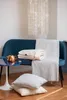 A cozy living room scene with a blue sofa, blankets, pillows, and a copper teapot on a side table. Produktbild-Vorschau