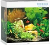 A well-lit aquarium filled with colorful fish, aquatic plants, and decorative rocks, showcasing the product in an appealing setting. Podgląd zdjęcia produktu