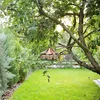 Mangiatoia per uccelli da giardino, mangiatoia con Anteprima dell’immagine prodotto 4