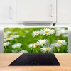 Küchenrückwand aus Glas 125x50cm Spritzschutz Gänseblümchen Produktbild-Vorschau 3