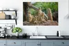 MuchoWow® - Leinwandbilder - Erdmännchen - Familie - Tiere, Produktbild-Vorschau 5