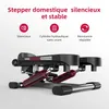 JASPORT ST1 Mini-Stepper 2-en-1 avec cordes, écran LCD, Voir les images du produit 3