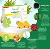 Biostile Collagen Pineapple - 30 vrecúšok s 5 zdrojmi Náhľad obrázku produktu 6