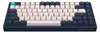 Dark Project KD83A Gaming Keyboard – Ivory and Navy Blue – Produktbild-Vorschau 5