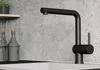 BLANCO LINUS colore speciale nero opaco Anteprima dell’immagine prodotto 1