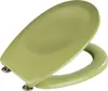 A light green toilet seat and lid are shown against a white background. Anteprima dell’immagine prodotto