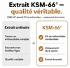 Ashwagandha KSM-66 Capsules Hautement Concentrées - 600 mg Voir les images du produit 3