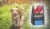 RAFI ADULT Jagnięcina 10kg z jagnięciną bez zbóż, 40611 Podgląd zdjęcia produktu 11