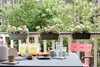 elho barcelona Balkonkasten 70cm - anthrazit Produktbild-Vorschau 7