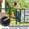 A woman interacting with a dog in an outdoor enclosure. Produktbild-Vorschau