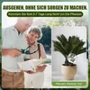 8 Stück Bewässerungskugeln, Wasserspender Pflanzen, Produktbild-Vorschau 3