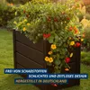 KHW Kunststoff-Hochbeet Demeter M, schmal, platzsparendes Produktbild-Vorschau 12